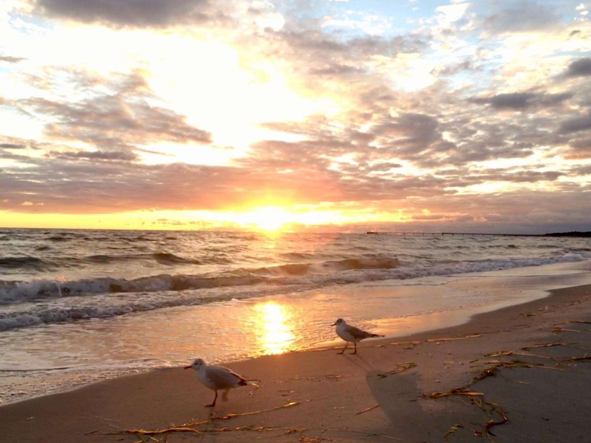 Strandveranda Zingst Zewnętrze zdjęcie